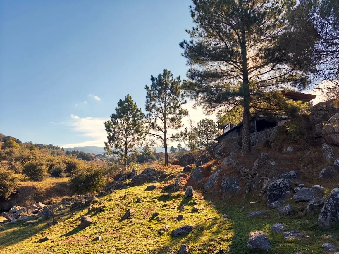 Monte serrano con pinos y rocas en el predio de una hectárea de Las Chuñas