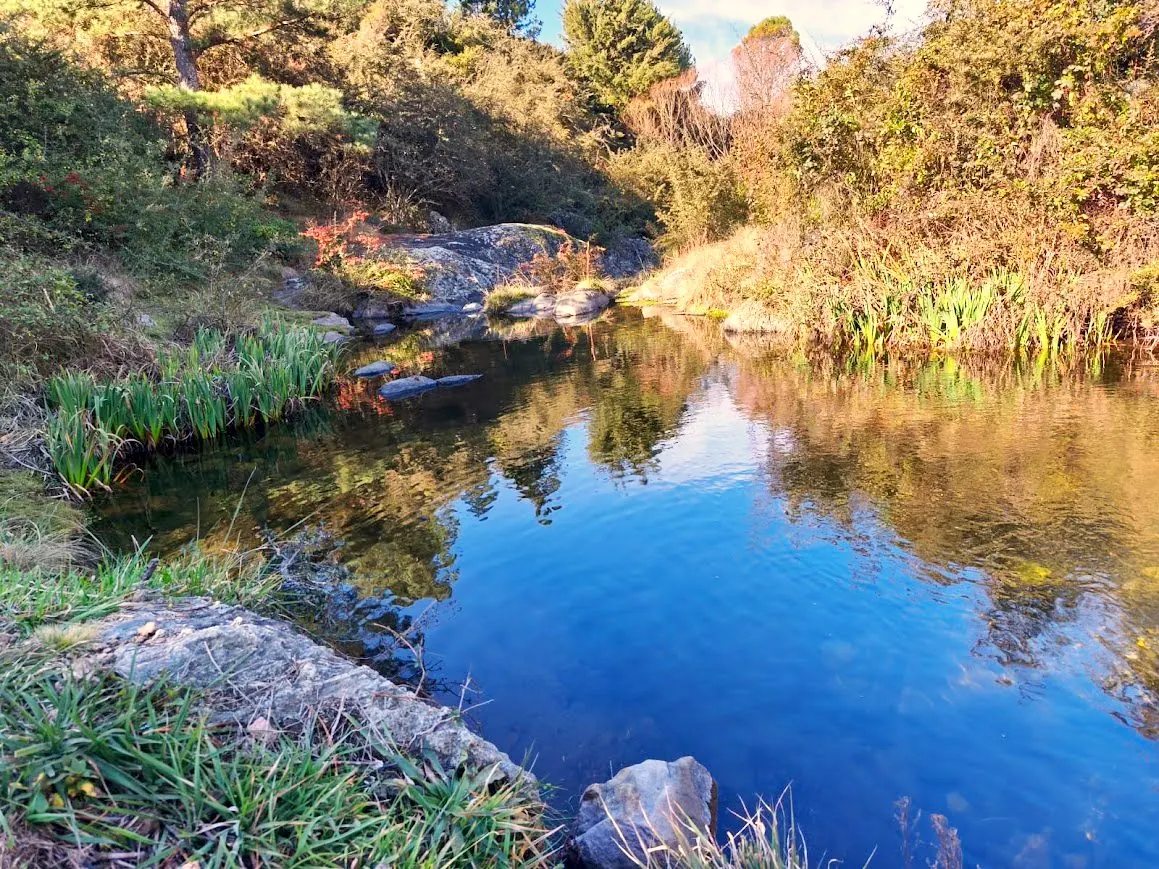 Arroyo propio de aguas cristalinas en el predio de Las Chuñas