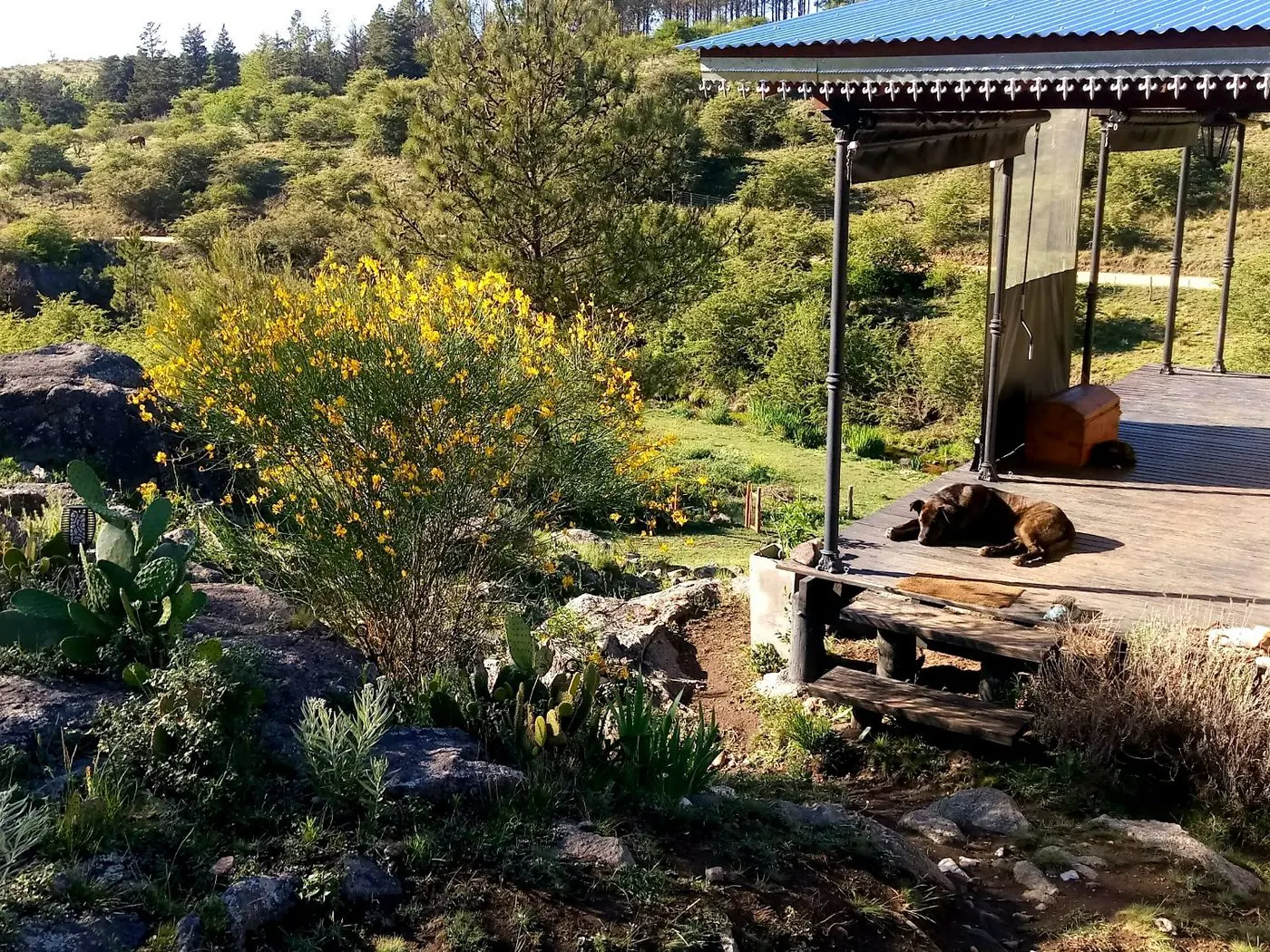Predio de una hectárea de Las Chuñas con arroyo propio en Paso de la Pampa, San Clemente, Córdoba