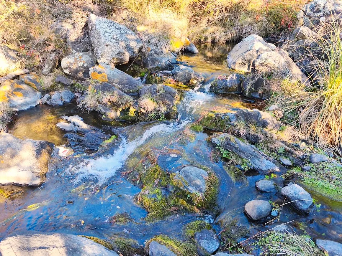 Aguas cristalinas del arroyo que corre entre las piedras del predio serrano