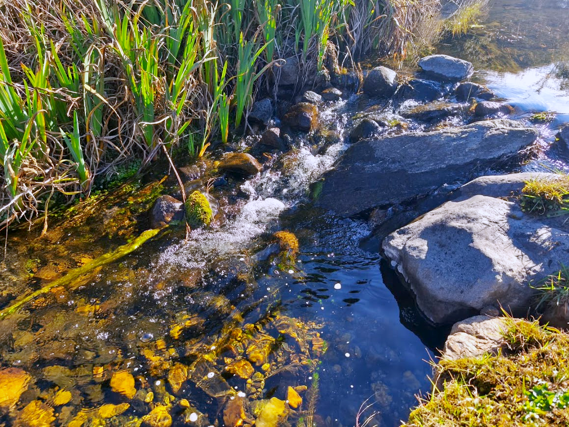 Saltos y piletones del arroyo propio entre rocas de las sierras de Córdoba